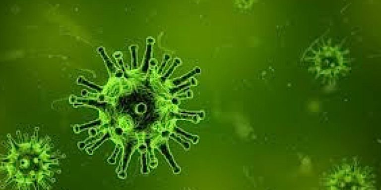 Toegankelijke informatie over het corona-virus