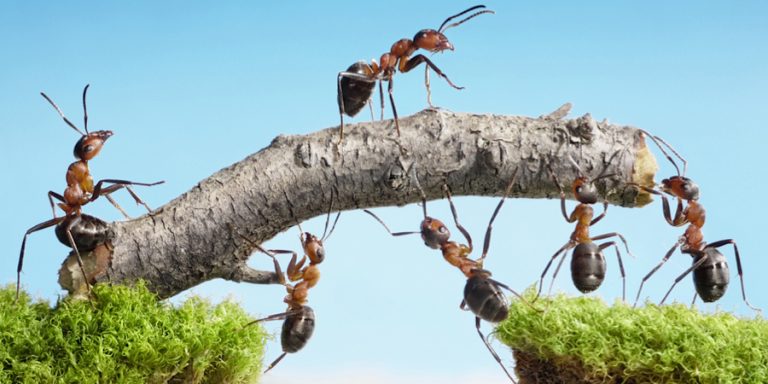 Overstap van oude Wajong naar Wajong 2010