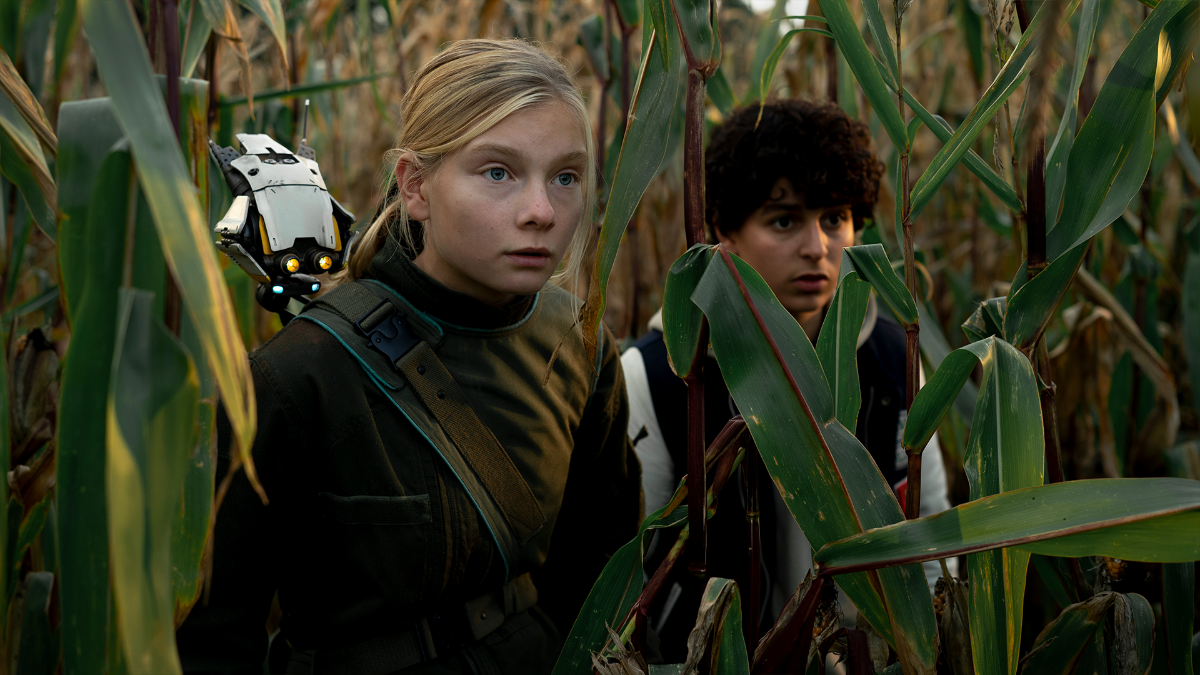 Beels uit Captain Nova